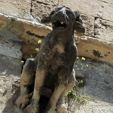 <font size="2"> Auch dieser Kollege sitzt schon so lange auf der Stelle, das sich die Blumen am Hinterteil vermehren.<br /> <font size="2"> Auch dieser Kollege sitzt schon so lange auf der Stelle, das sich die Blumen am Hinterteil vermehren.<br />